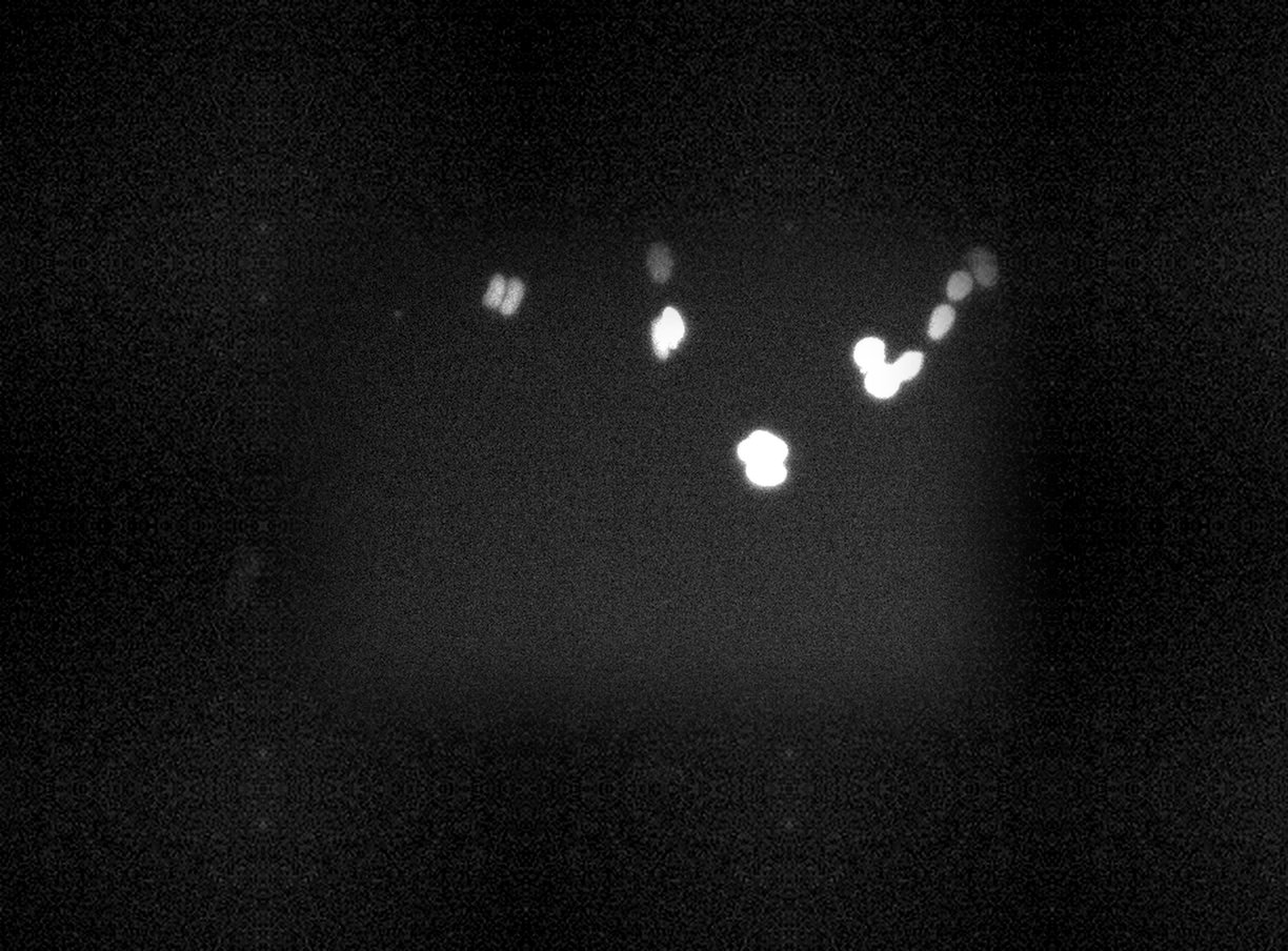 FLD_1 RFP 10×